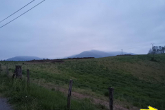 22.04.2019 06:58:59