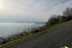22.04.2019 08:42:54