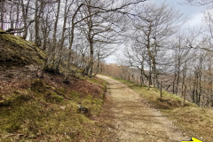 22.04.2019 13:23:50
