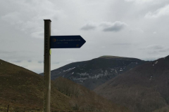 22.04.2019 13:51:19