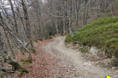 22.04.2019 15:14:03