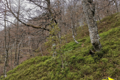 22.04.2019 15:14:06