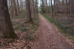 23.04.2019 07:11:37