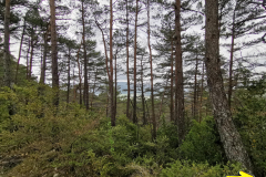 23.04.2019 12:23:55 