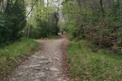 23.04.2019 12:46:03 
