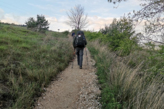24.04.2019 08:22:54 