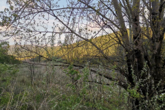 24.04.2019 08:22:59 