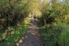 24.04.2019 09:00:00 