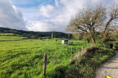 24.04.2019 09:07:22 