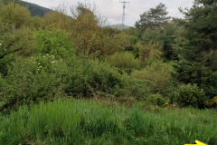 24.04.2019 09:16:39 