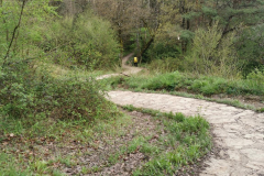 24.04.2019 09:55:04 
