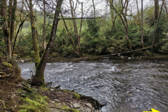 24.04.2019 09:58:16 