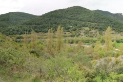 24.04.2019 10:46:43
