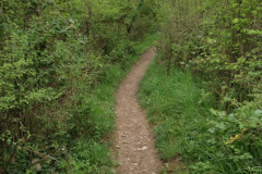 24.04.2019 11:07:41 