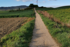 25.04.2019 08:33:41 
