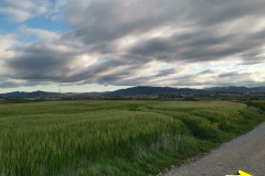 25.04.2019 08:42:59 