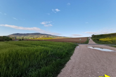 25.04.2019 08:43:22 