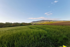 25.04.2019 08:43:24 