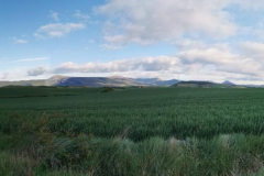 25.04.2019 08:48:22