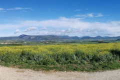 25.04.2019 09:33:10