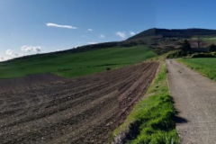 25.04.2019 09:33:17