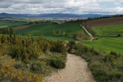 25.04.2019 10:25:06 