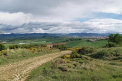 25.04.2019 10:26:42