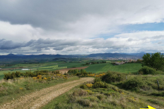 25.04.2019 10:26:51 