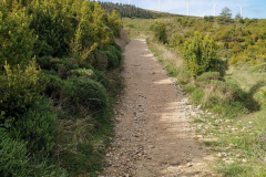 25.04.2019 10:29:39 