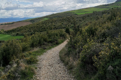 25.04.2019 10:32:33 