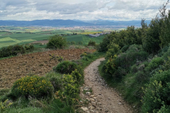 25.04.2019 10:33:35 