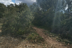 25.04.2019 11:17:15 