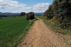 25.04.2019 11:42:23 