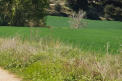 25.04.2019 11:56:29 