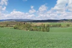 25.04.2019 12:31:18