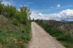 25.04.2019 13:56:44 