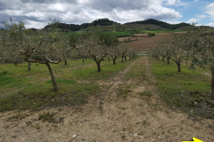 25.04.2019 14:01:53 