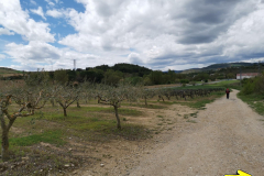 25.04.2019 14:01:56 