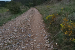 26.04.2019 07:02:36 