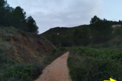 26.04.2019 07:17:15 