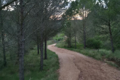 26.04.2019 07:18:46 
