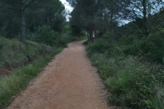 26.04.2019 07:19:46 