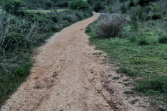 26.04.2019 07:22:38 