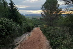 26.04.2019 07:25:29 