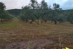 26.04.2019 07:59:44 