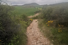 26.04.2019 09:02:43 