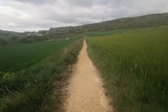 26.04.2019 09:11:06 