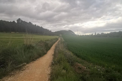 26.04.2019 09:13:06 