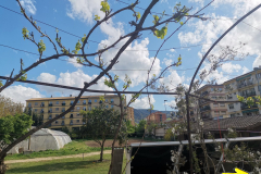 26.04.2019 17:50:16 