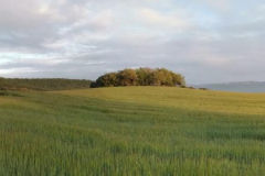 27.04.2019 07:48:37
